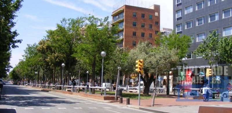 Oportunidad en la finca de Carrer del Treball 176-18656t - 015563481972