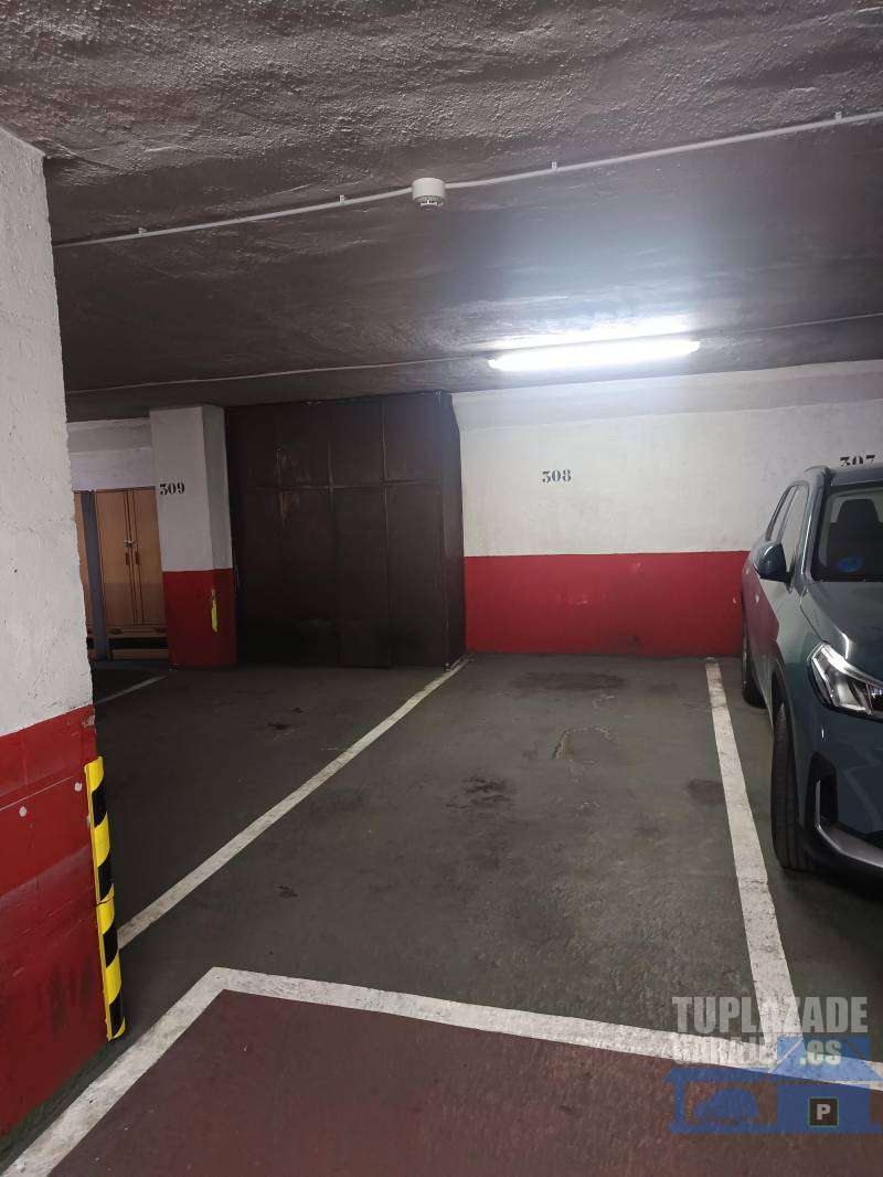 Coche PEQUEÑO - 2920741481988